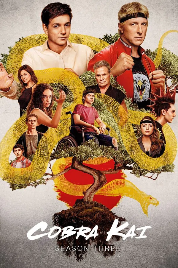 Poster phim Võ Đường Cobra Kai (Phần 3) trên PhimMoi