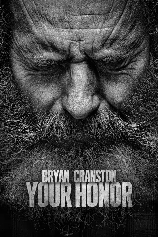 Poster phim Your Honor (Phần 2) trên PhimMoi
